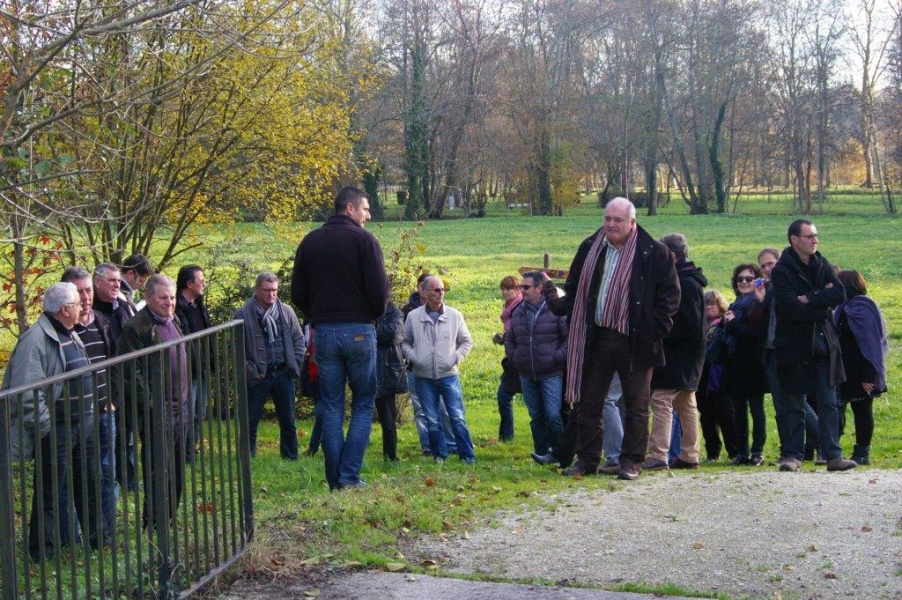IMGP0162